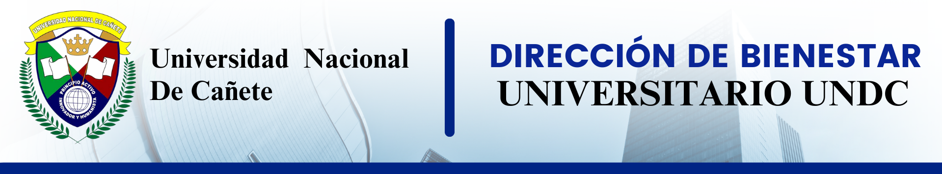 UNIVERSIDAD NACIONAL DE CAÑETE – DIRECCIÓN DE BIENESTAR UNIVERSITARIO